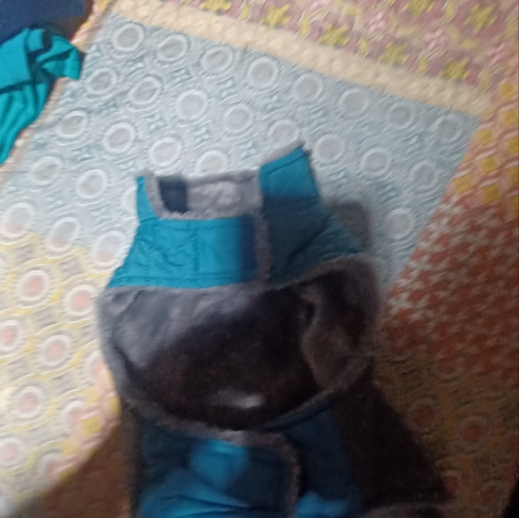 Dog jacket - Picture 6 of 6